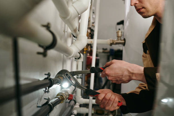 Best Clogged Drain Plumber  in Mount Carmel, TN