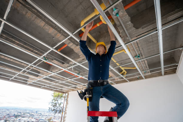 Best Plumbing Inspection Services  in Mount Carmel, TN