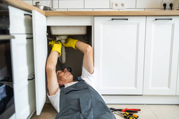 Best Sewer Line Repair  in Mount Carmel, TN